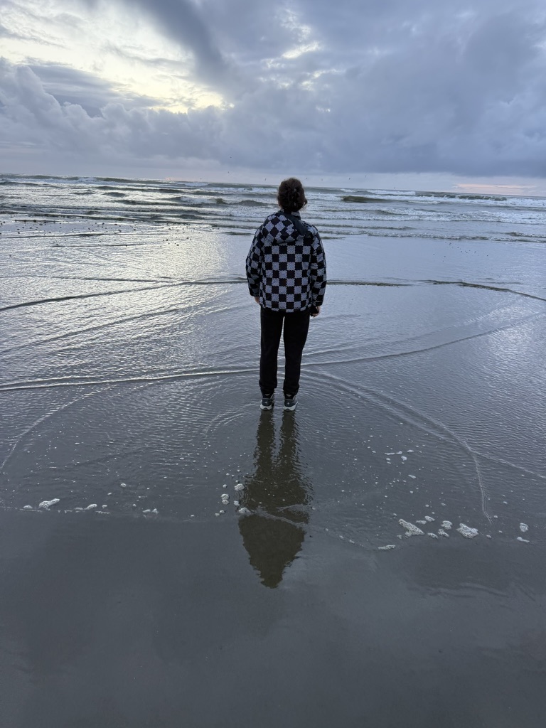 Savannah on the beach